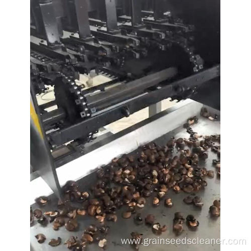 Cashew Nuts Cleaning Line